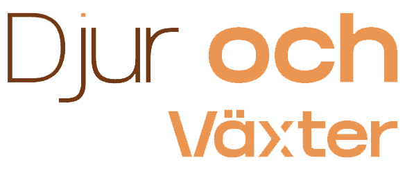 Djur och Växter