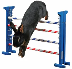 Agility Kerbl Kombihopp Kanin