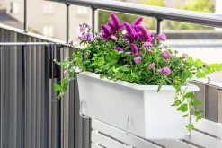 Balkonglåda Orthex Botanica Återvunnen plast Vit 100cm