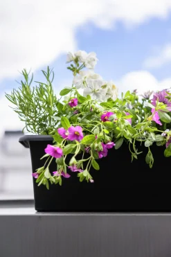 Balkonglåda Orthex Botanica Återvunnen plast Svart 60cm