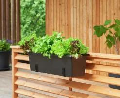 Balkonglåda Orthex Botanica Återvunnen plast Svart 60cm