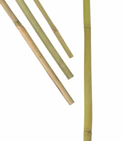 Bambukäpp Nelson Garden Växtstöd 150cm 5-p