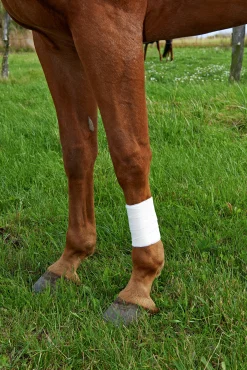 Bandage Kruuse Vet-Plast Vit 10cmx4,5m 10-p