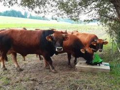 Betespump Kerbl P100 grön