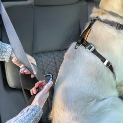 Bilsele Hund Kurgo Tru-Fit Svart