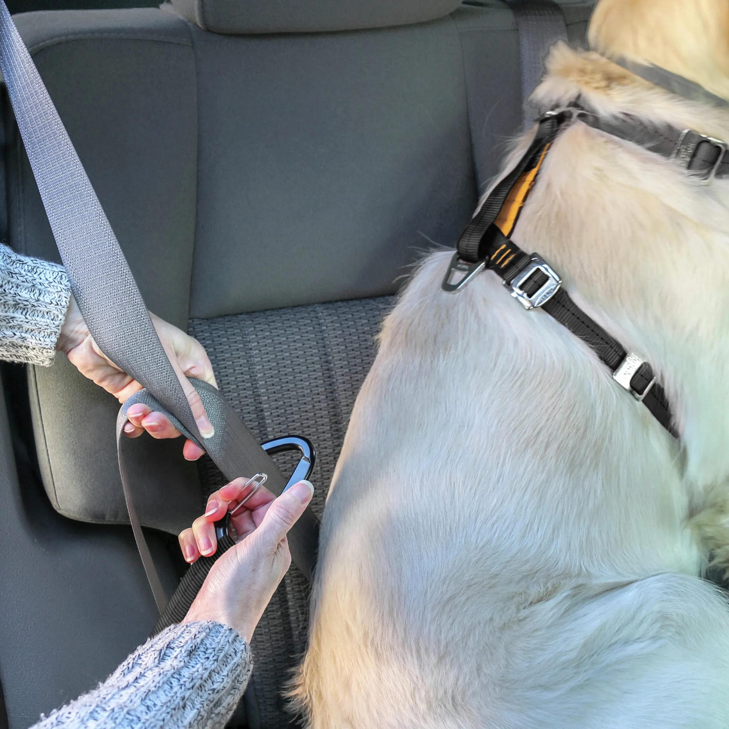Bilsele Hund Kurgo Tru-Fit Svart
