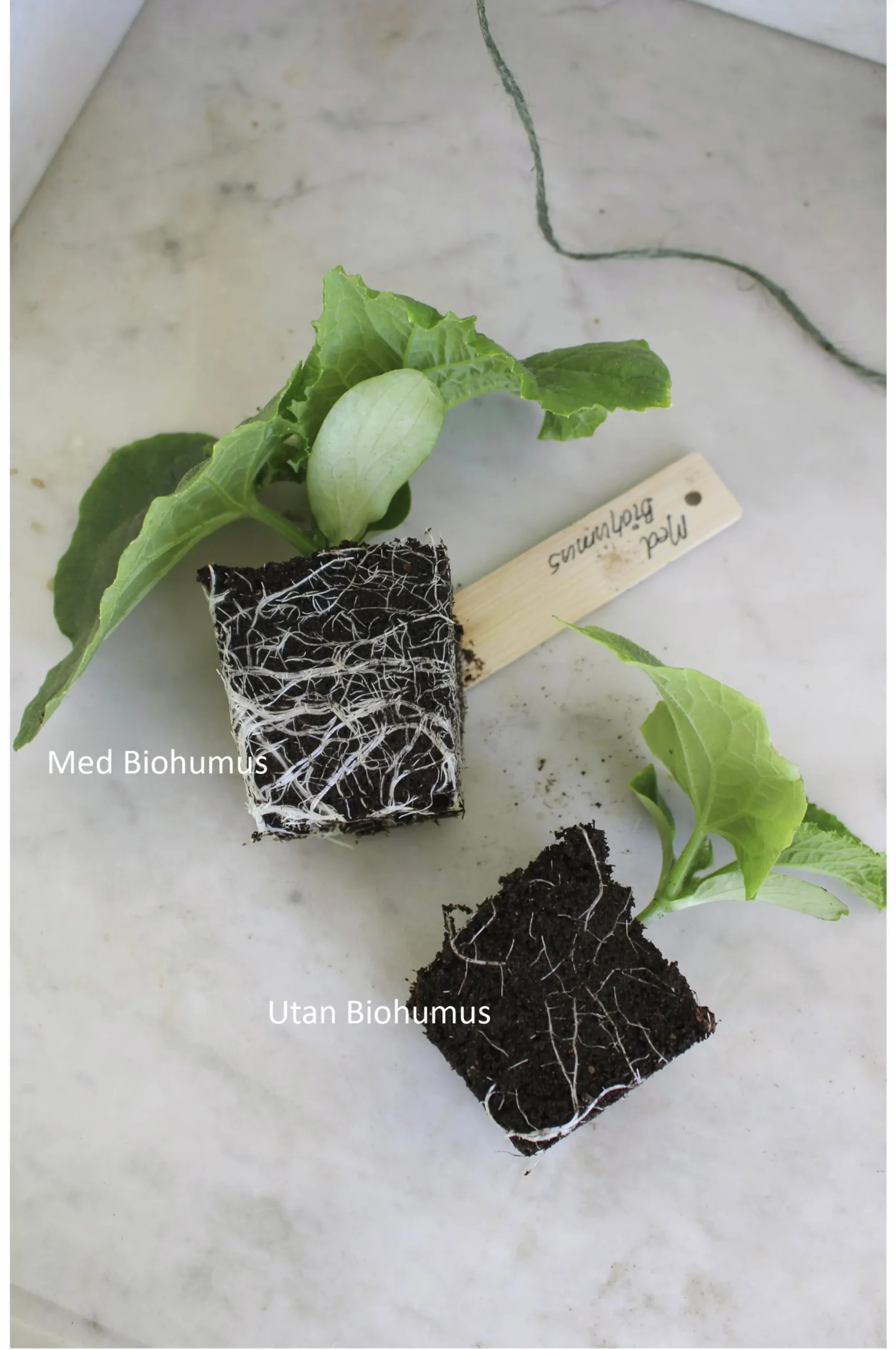 Biokol med vermikompost Nelson Garden Biohumus Terra 5L