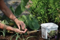 Biokol med vermikompost Nelson Garden Biohumus Terra 5L