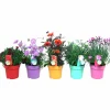 Bivänliga Blommor Beefriendly