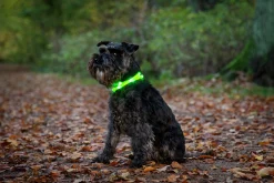 Blinkhalsband Dogman LED Blå Onesize 20-65cm