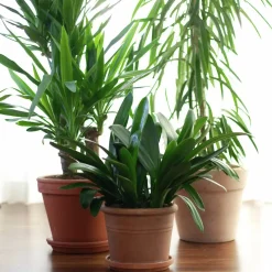 Blomjord med Lecakulor Hasselfors 40L