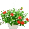 Blommande ampel Nyans 27cm