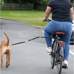 Cykelfäste med koppel Active Canis