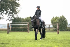 Damask Back on Track Opal Svart Bak 2-p