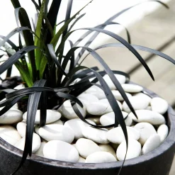 Dekorsten Hasselfors Vita pebbles 7kg