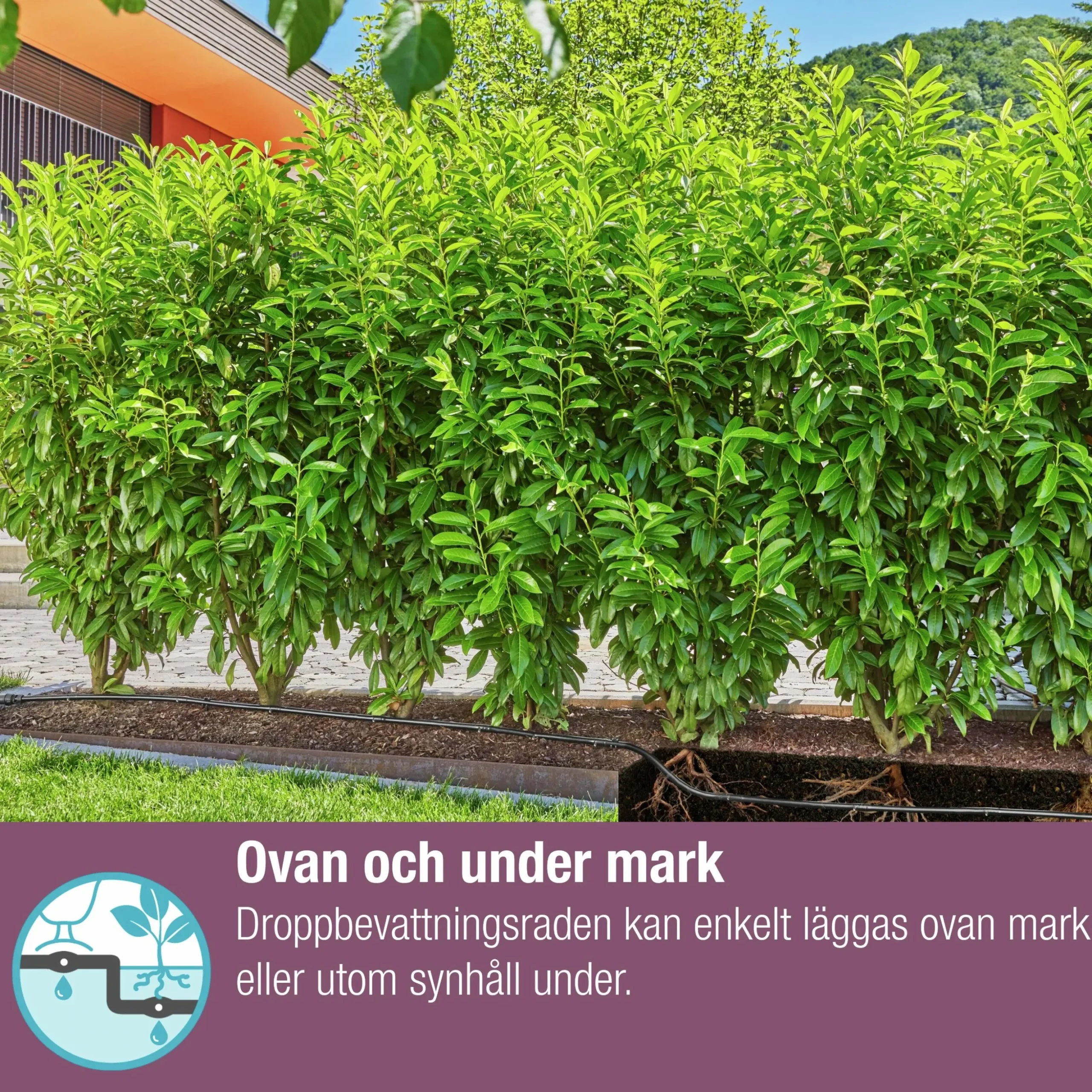 Droppslang Gardena MicroDrip Ovan/Under jord Set 25m