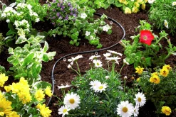 Droppslang Gardena MicroDrip Utökning Ovan jord 3/16