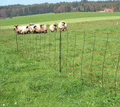 Elstängselnät AKO TitanNet får 108cm 50m