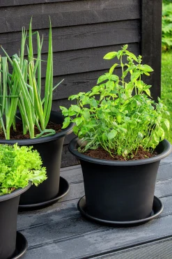 Fat Orthex Botanica Återvunnen plast