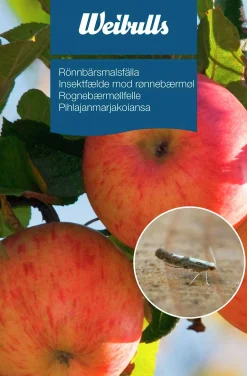 Feromonfälla Weibulls Rönnbärsmal