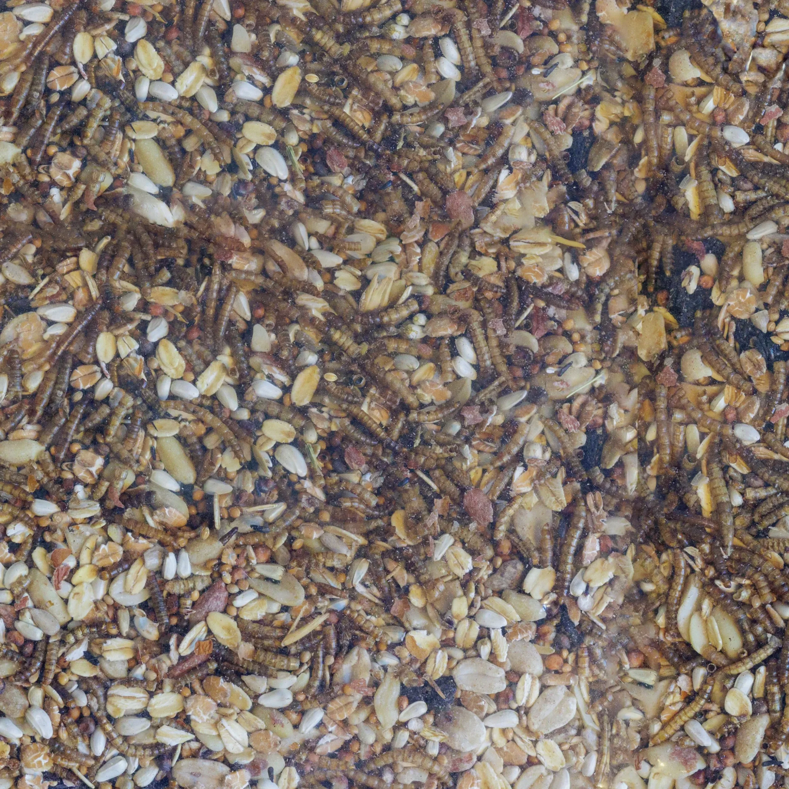 Fågelmat Granngården Småfågelfrömix Special Mjölmaskar 5kg