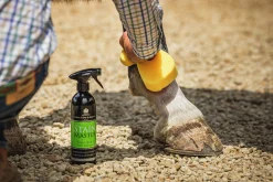 Fläckborttagare Carr & Day & Martin Stain Master 500ml