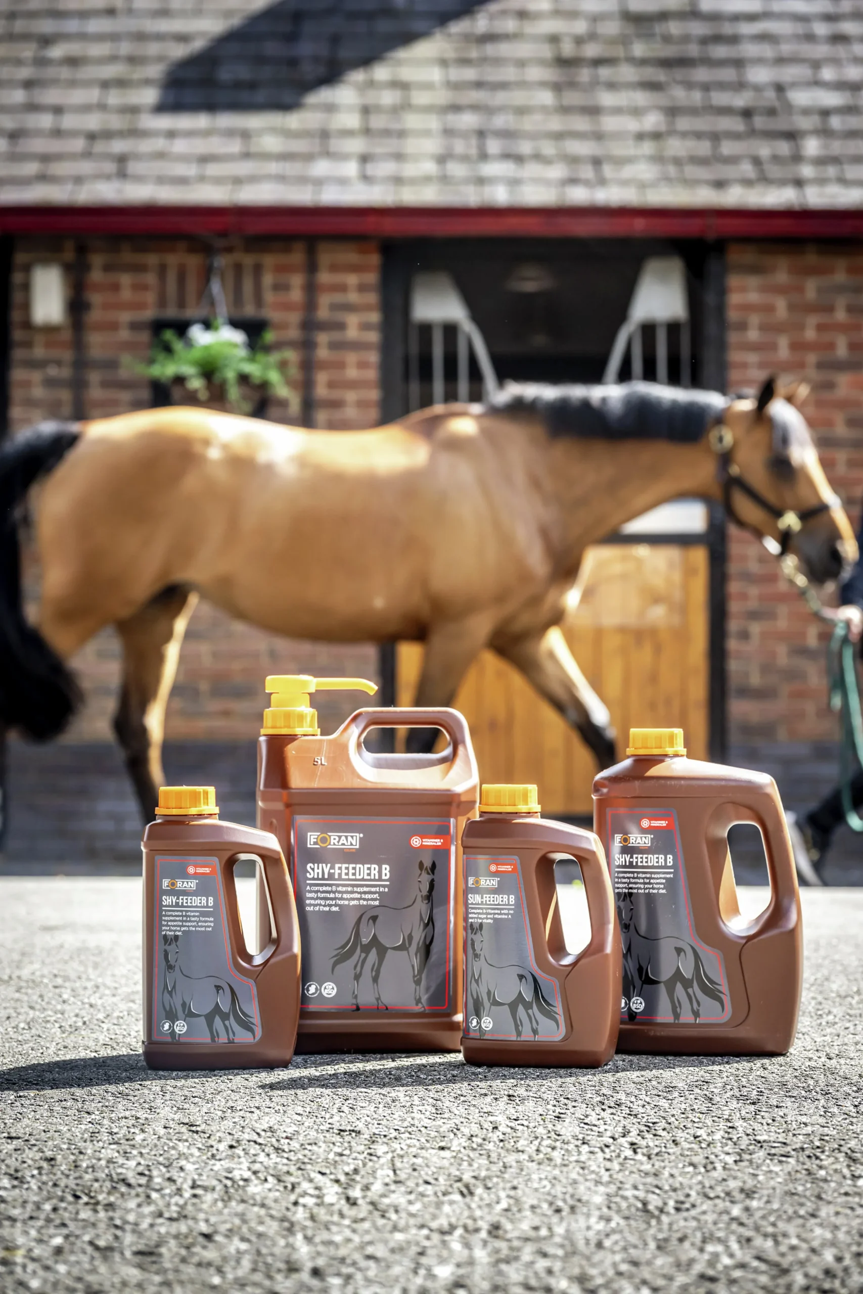 Fodertillskott Foran Equine Shy Feeder B-vitamin 2,5L