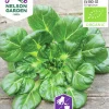 Fröer Nelson Garden Asiatisk kål Tatsoi
