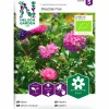 Fröer Nelson Garden Aster Dubbel Mix Organic