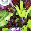 Fröer Nelson Garden Baby Leaf Sallat Mix Såband