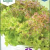 Fröer Nelson Garden Bladbatavia Lollo Rossa Hydroponisk
