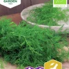 Fröer Nelson Garden Bladdill Gold Crown Organic