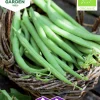 Fröer Nelson Garden Brytböna Maxi Organic