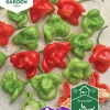 Fröer Nelson Garden Chilipeppar Jamaican Bell
