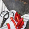 Fröer Nelson Garden Chilipeppar Hyper F1