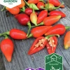 Fröer Nelson Garden Chilipeppar Biquinho