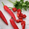 Fröer Nelson Garden Chilipeppar Damián Röd