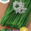 Fröer Nelson Garden Gräslök Kinesisk Garlic Oriental