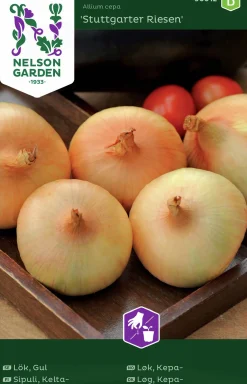 Fröer Nelson Garden Gul lök Stuttgarter Riesen