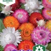 Fröer Nelson Garden Jätteeternell Blandade färger