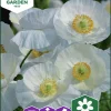 Fröer Nelson Garden Kornvallmo Bridal Silk Vit