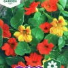 Fröer Nelson Garden Krasse Busk- Tom Thumb Blandade Färger