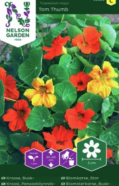Fröer Nelson Garden Krasse Busk- Tom Thumb Blandade Färger