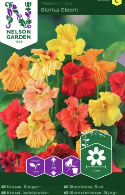 Fröer Nelson Garden Krasse Slinger Glorius Gleam Mixfärg