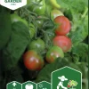 Fröer Nelson Garden Körsbärstomat Balconi Red