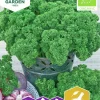 Fröer Nelson Garden Krusbladig Persilja Grüne Perle Organic
