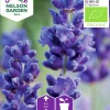 Fröer Nelson Garden Lavendel Organic