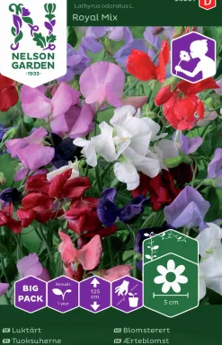 Fröer Nelson Garden Luktärt Royal Blandade färger Big Pack