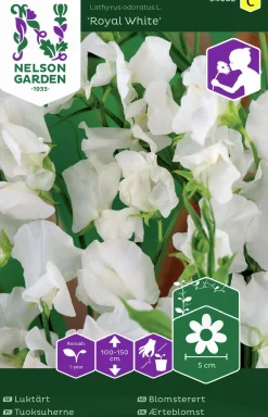 Fröer Nelson Garden Luktärt Royal White Vit