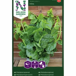 Fröer Nelson Garden Malabarspenat Vit